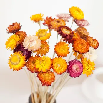 Daisy Kuivatatud Lille Kimp 100% Looduslik Chrysanthemum Kuiv Lille Pulmi, Sünnipäeva, Kodu, Tuba Decor,Maamees Puhkus Kaunistused
