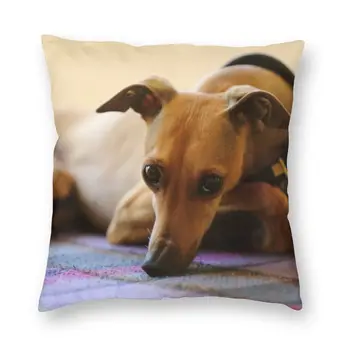 Armas Greyhound Whippet Padi Kaane Kaunistamine Sighthound Koer Padjad Viska Padi Diivan kahepoolne Trükkimine